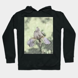 Iris Hoodie